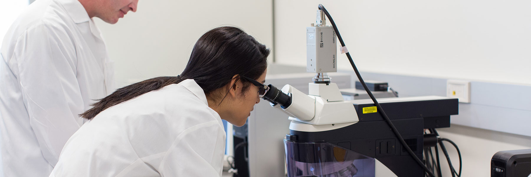 An IUPUI biology student examining something through a microscope.